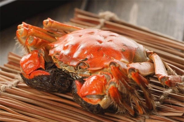 唐海休闲食品