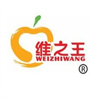 维之王