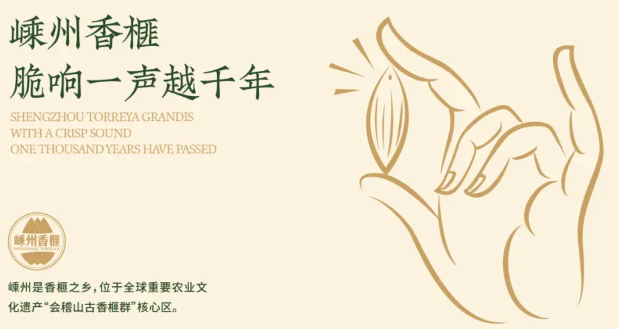 山森香榧