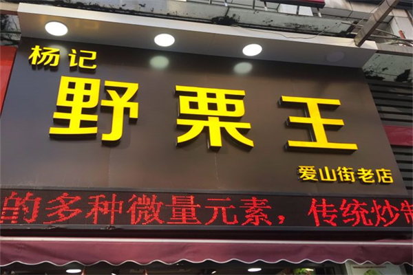 杨记野栗王