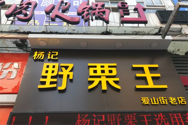 杨记野栗王