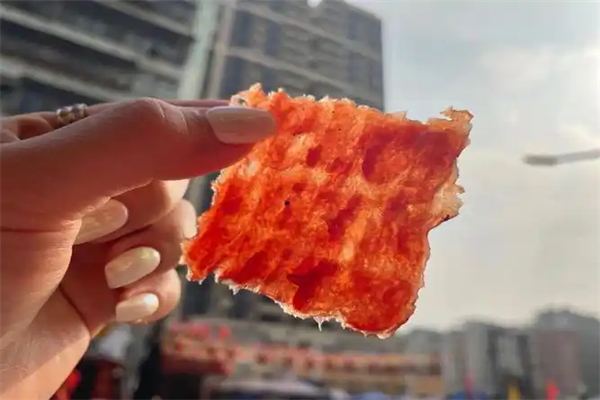兴百年猪肉脯