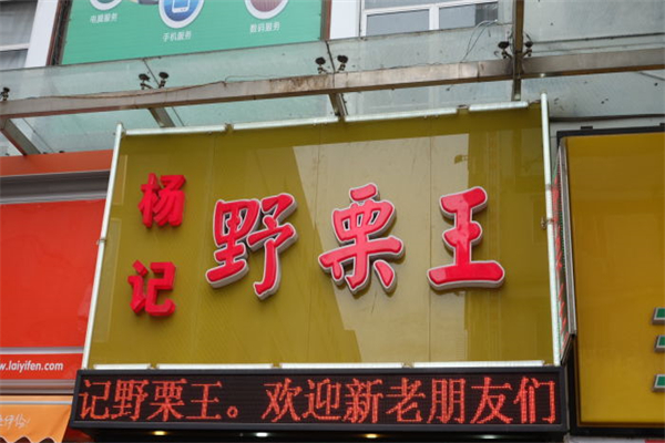 杨记野栗王