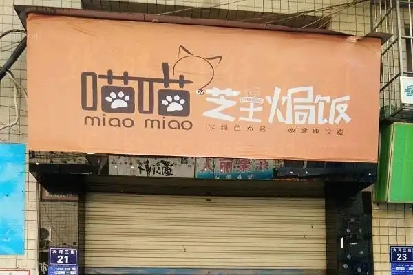 喵喵芝士焗饭