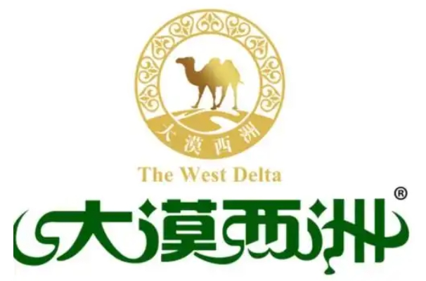 大漠西洲大枣