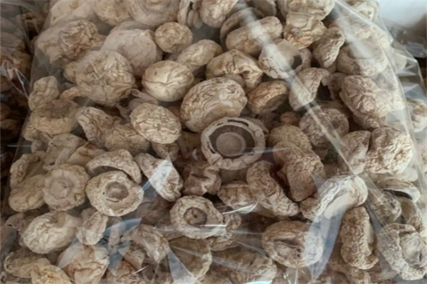 奥达特休闲食品