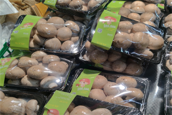 奥达特休闲食品