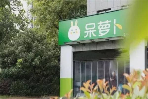 呆萝卜