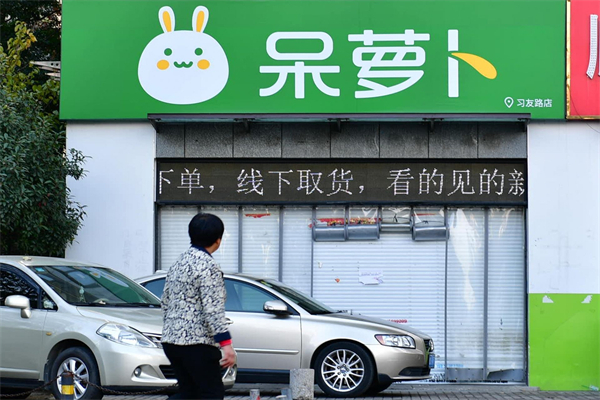 呆萝卜
