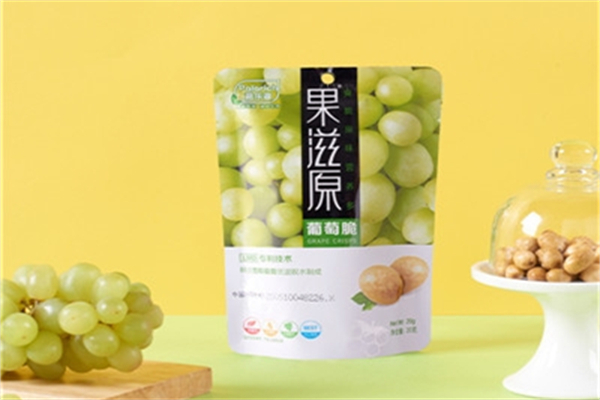 派乐滋