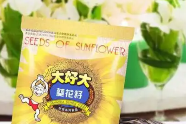 大好大零食