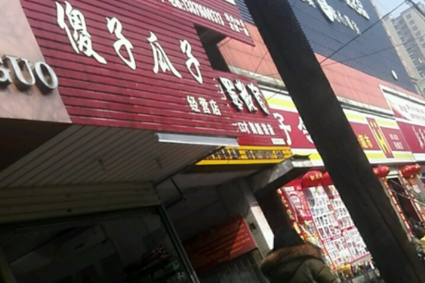 傻子瓜子
