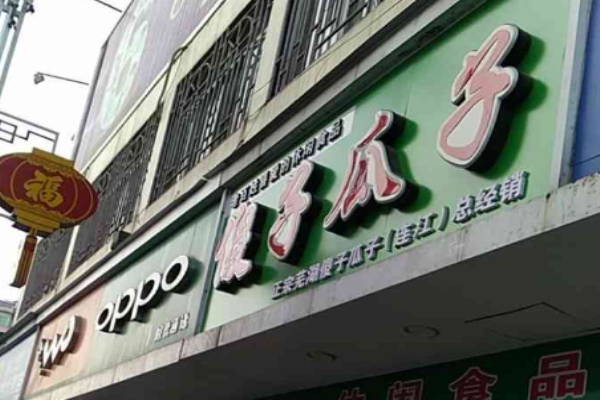 傻子瓜子 傻子瓜子