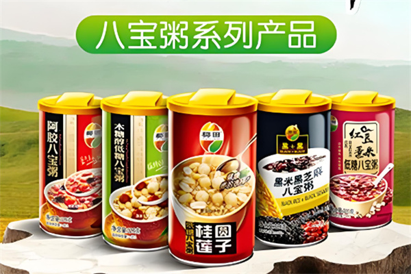 椰田食品 椰田食品