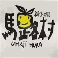 马路村干果店