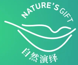 自然演绎零食