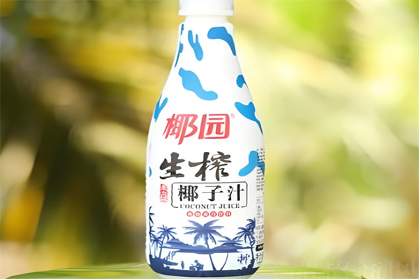 椰园食品