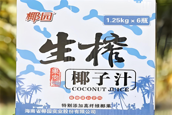 椰园食品