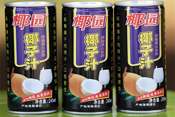 椰园食品