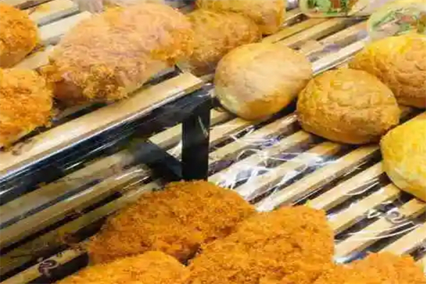 贵州龙