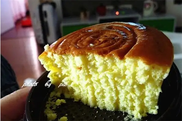 贵州龙