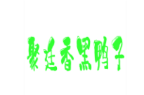 聚廷香黑鸭子