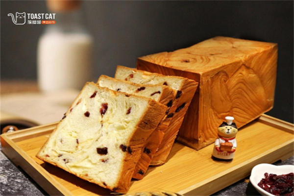 TOAST CAT落脚猫手工吐司