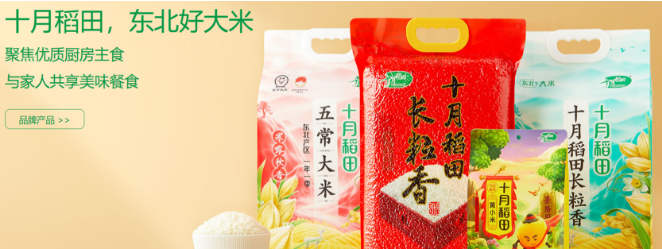十月稻田