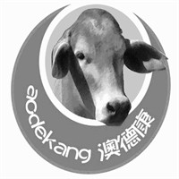 澳德康牛肉粉