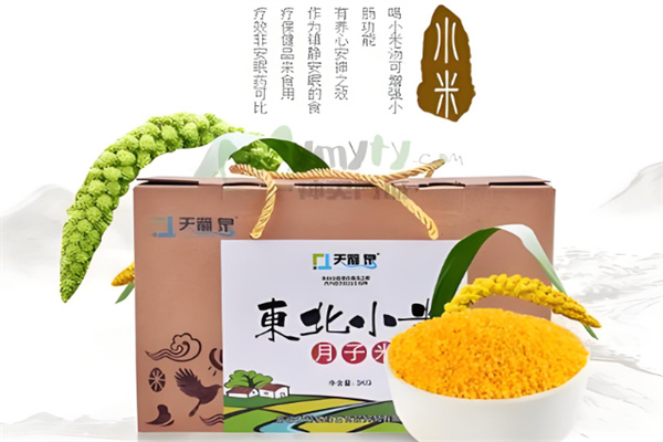 天箭泉绿色食品
