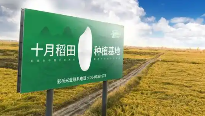 十月稻田
