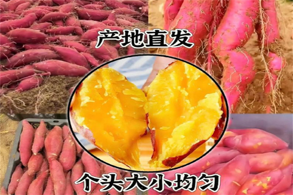 天程食品
