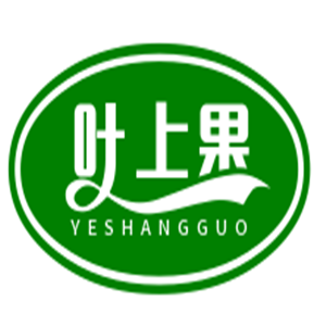 叶上果零食
