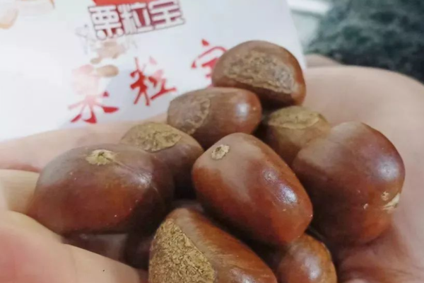 栗粒宝 栗粒宝
