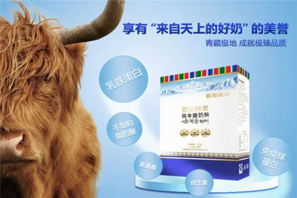 可雅乳品牦牛奶
