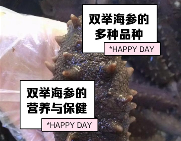 双举海参