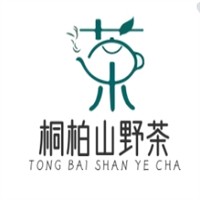 桐柏山野茶