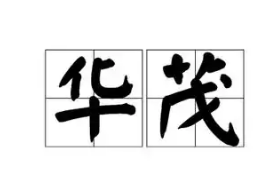 茂华食品