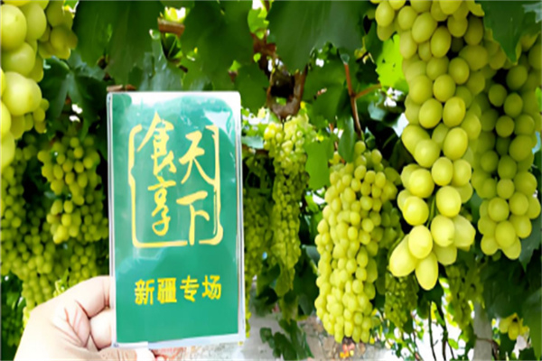食享天下
