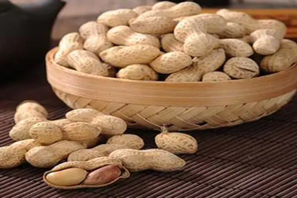 雅圣休闲食品