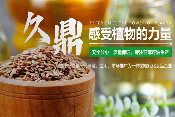 久鼎食品