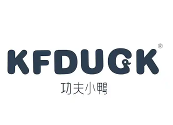 功夫小鸭