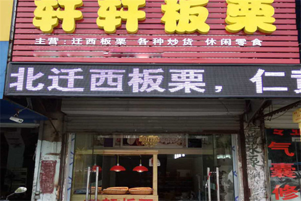 轩轩板栗