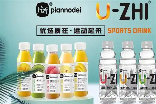 片断食品