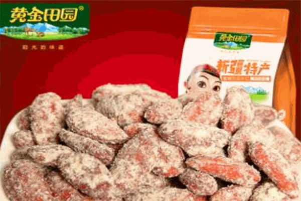 黄金田园食品