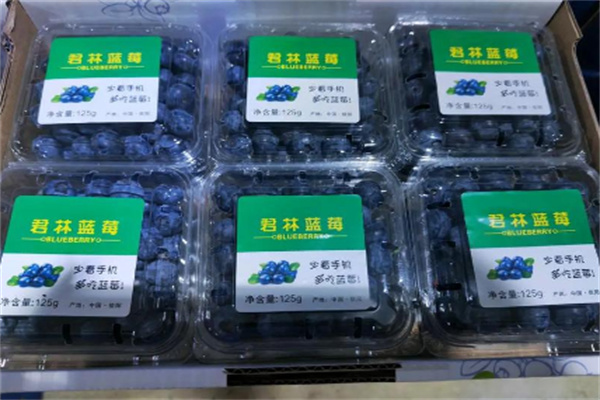 君林蓝莓