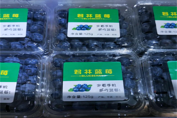 君林蓝莓