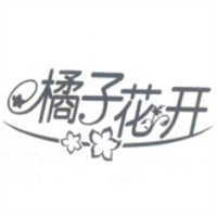 橘子花开零食