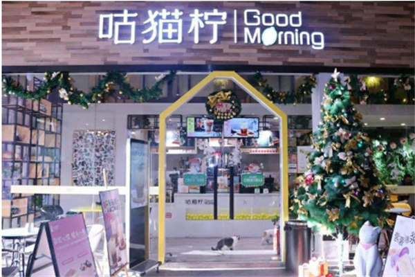 咕猫柠奶茶