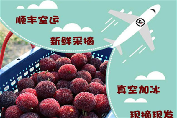 顺丰大当家